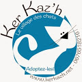 Ker Katz le village des chats