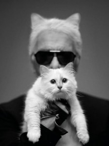 karl_lagerfeld_choupette 1