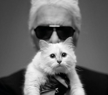 karl_lagerfeld_choupette 1