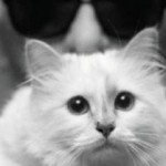 karl_lagerfeld_choupette7