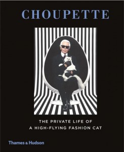 karl_lagerfeld_choupette_the_private_life_of_a_high_flying_fashion_cat