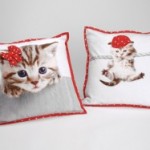 coussin chaton amadeus