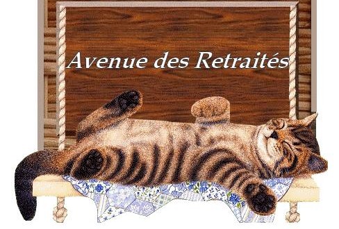 L'avenue des retraités