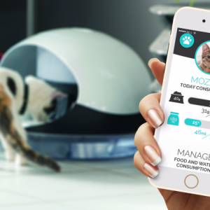 Catspad, le distributeur automatique de nourriture pour chat connecté